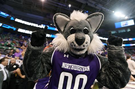 The Marketing Potential of Northwestern's Mascot Name: Capitalizing on School Pride